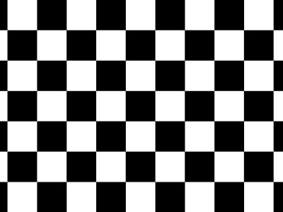 Vlag geblokt wit - zwart, racevlag 70x100 cm