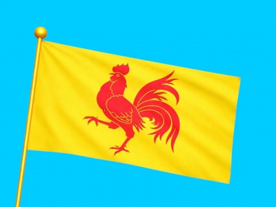 Vlag Gewest Waals 300x450 cm Vlag Gewest Waals 300x450 cm