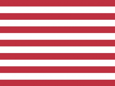 Vlag Goes 70x100 cm