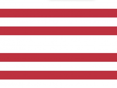 Vlag Gorinchem 70x100 cm