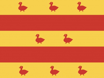 Vlag Grave 70x100 cm