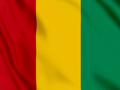 vlag Guinee 100x70