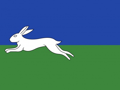 Vlag Haskerland 70x100 cm