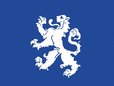 Vlag Heemskerk 70x100 cm