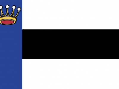 Vlag Heerenveen 70x100 cm