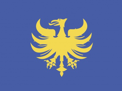 Vlag Heerlen 70x100 cm