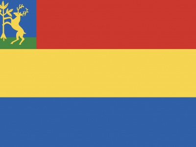 Vlag Hellendoorn 70x100 cm