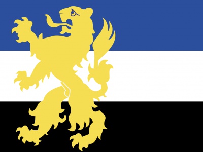 Vlag Hilvarenbeek 70x100 cm