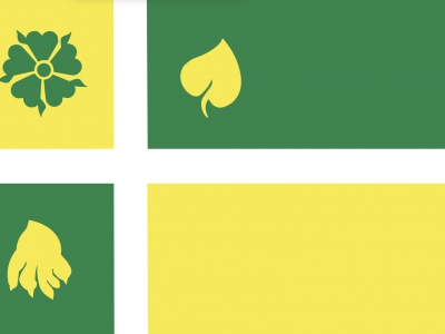 Vlag Hof van Twente 70x100 cm