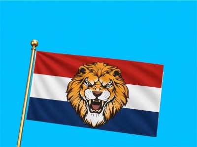 Vlag Holland Leeuw 1 030x045 cm Vlag Holland Leeuw 1 030x045 cm
