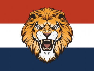 Vlag Holland Leeuw 1 100x150 cm