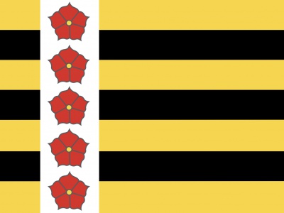 Vlag Horst aan de Maas 70x100 cm