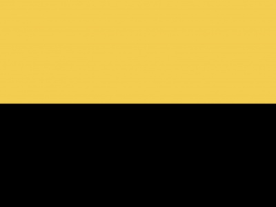 Vlag IJsselstein 70x100 cm