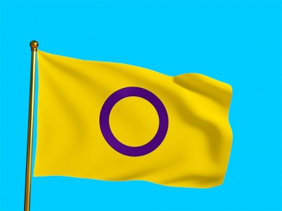 Vlag Intersekse 100x150 cm