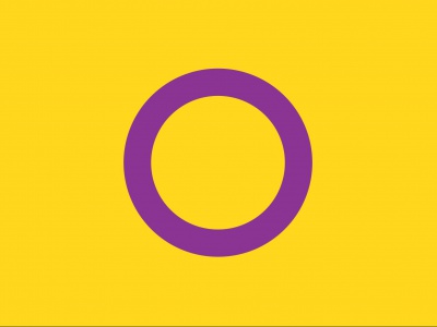 Vlag Intersekse 070x100 cm