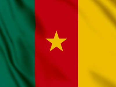 vlag Kameroen 100x70