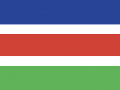 Vlag Laarbeek 70x100 cm