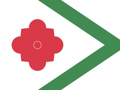 Vlag Landerd 70x100 cm