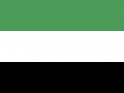 Vlag Leek 70x100 cm