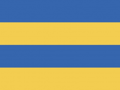 Vlag Leeuwarden 70x100 cm
