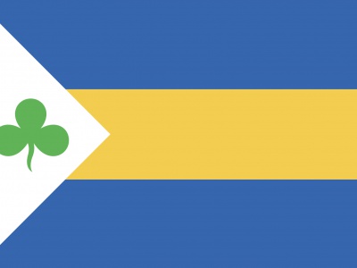 Vlag Leeuwarderadeel 70x100 cm