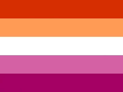 Vlag Lesbisch 070x100 cm
