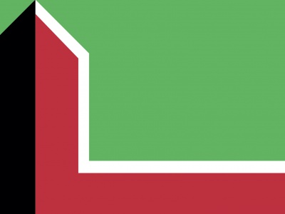 Vlag Leusden 70x100 cm