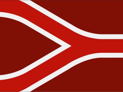 Vlag Liemers 070x100 cm