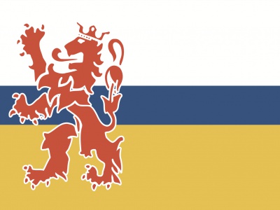Tweedehands vlag Limburg 150x225 cm, uitverkoop