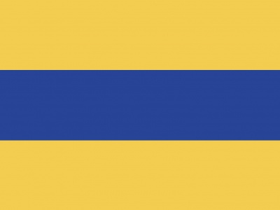Vlag Lisse 70x100 cm