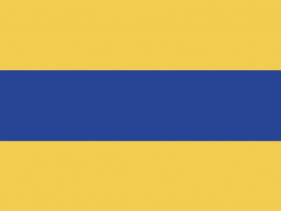 Vlag Lisse 70x100 cm