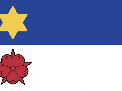 Vlag Littenseradeel 70x100 cm