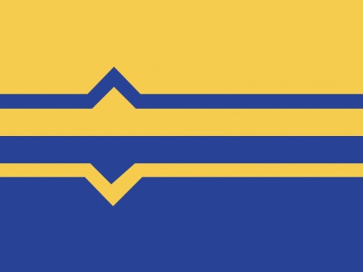 Vlag Lochem 70x100 cm