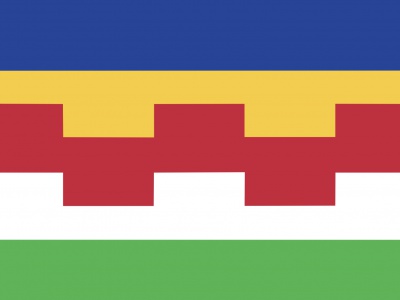 Vlag Maasdriel 70x100 cm