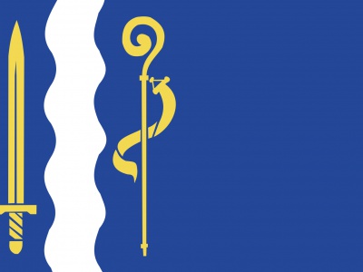 Vlag Maasgouw 70x100 cm
