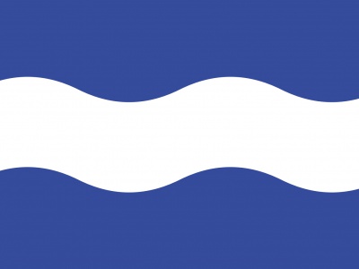 Vlag Maassluis 70x100 cm