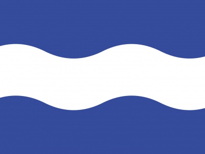 Vlag Maassluis 70x100 cm