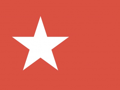 Vlag Maastricht 70x100 cm