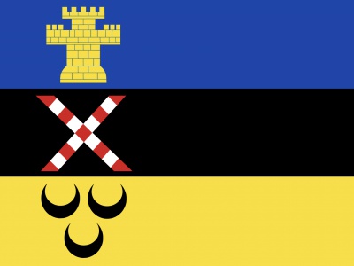 Vlag Meierijstad 70x100 cm