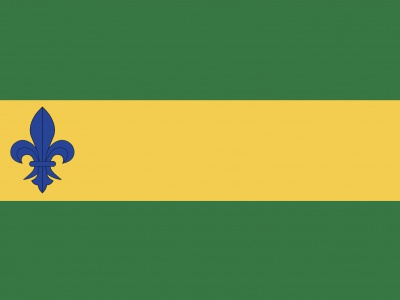 Vlag Menterwolde 70x100 cm