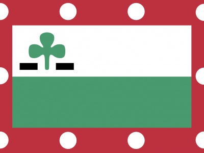 Vlag Meppel 70x100 cm