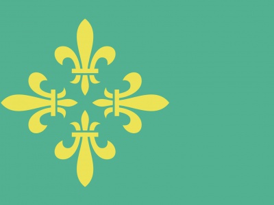 Vlag Midden-Drenthe 70x100 cm