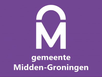 Vlag Midden-Groningen 70x100 cm
