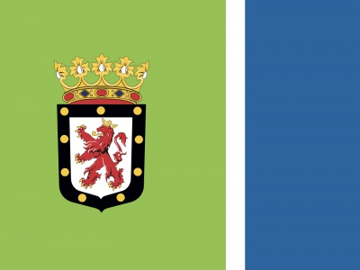 Vlag Montferland met wapen 70x100 cm