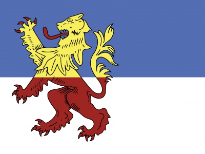 Vlag Neder-Betuwe 070x100 cm