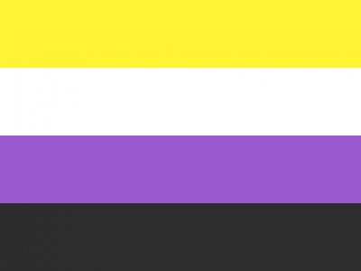Vlag Non-binaire 70x100 cm