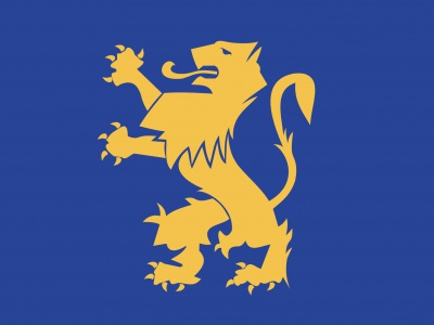 Vlag Noordwijkerhout 070x100 cm