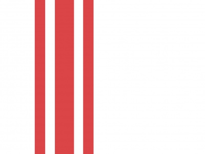 Vlag Oisterwijk 070x100 cm