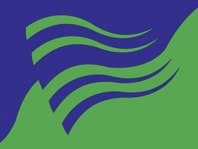 Vlag Olst-Wijhe 070x100 cm