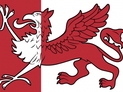 Vlag Ooststellingwerf 070x100 cm